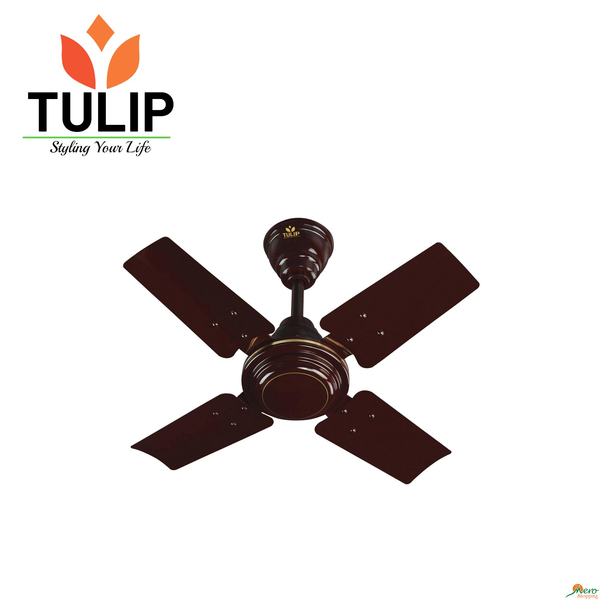 Buy Tulip Ceiling Fan DELUXE24 at low price in Kathmandu Nepal